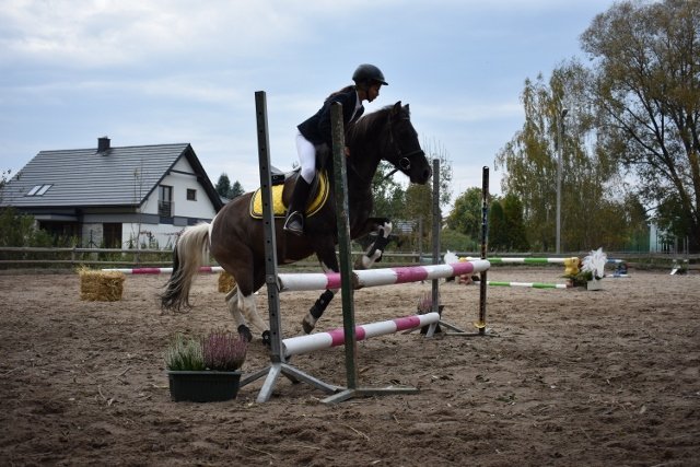 bABIE lATO 2018